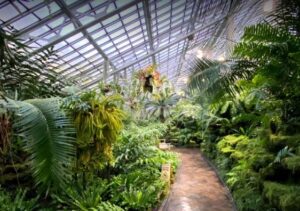 Garfield Park Conservatory