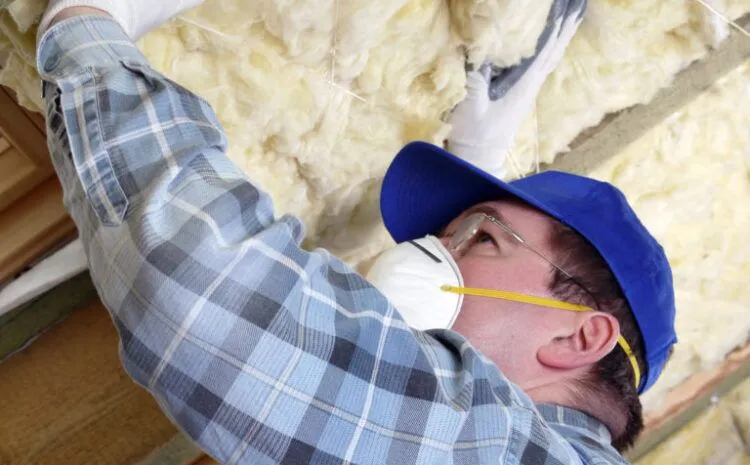 Mold In Your Home