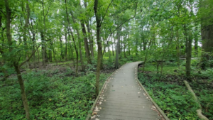 Ritchey Woods Nature Preserve Fishers IN